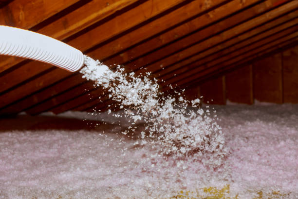 Best Eco-Friendly Insulation in Windsor, VA