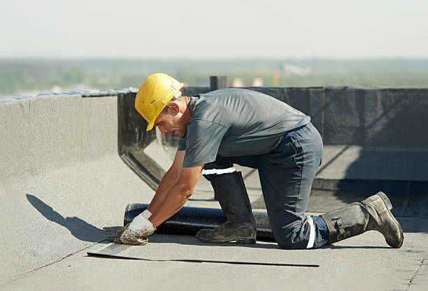 Best Commercial Insulation in Windsor, VA
