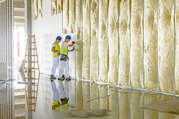 Reliable Windsor, VA Insulation Contractor Solutions
